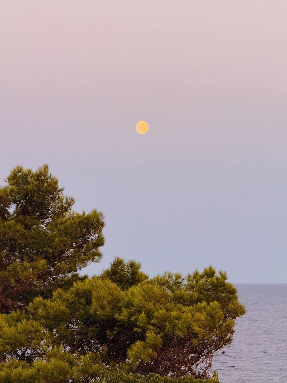 Luna sobre un pino frente al mar, en la Costa Brava